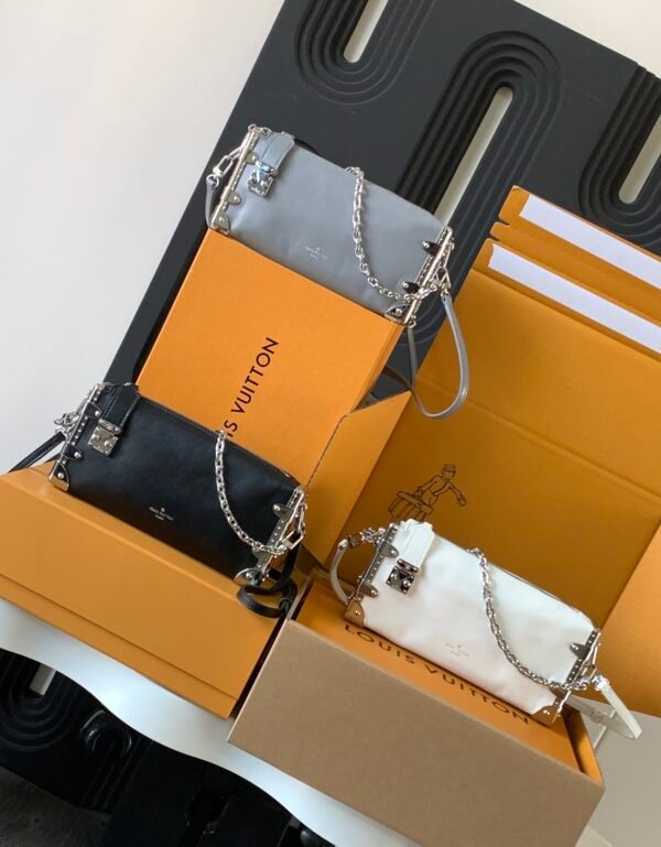 Louis Vuitton MINI Bag Available in three colors - Image 10