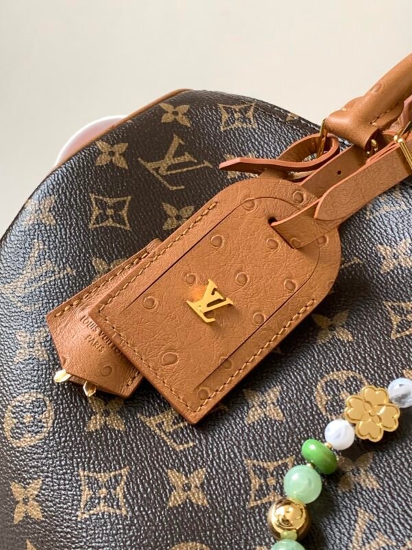 Louis Vuitton Bag - Image 4