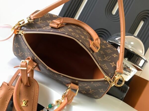 Louis Vuitton Bag - Image 7