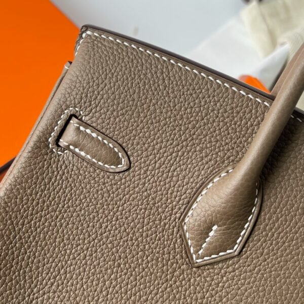 Hermes Birkin Platinum 25cm Original Imported Togo Leather [Elephant Gray] Gold Buckle - Image 8