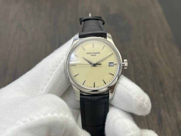 Patek Philippe Men's Watches
