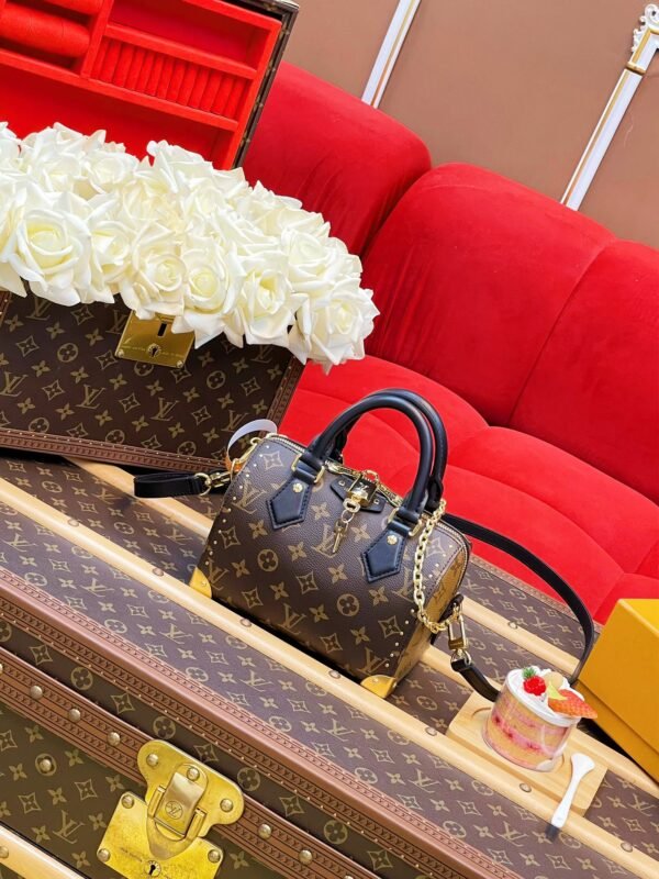 LV BAG